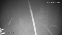 Protržená přehrada