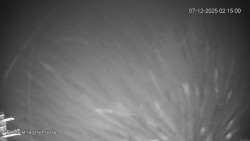 Protržená přehrada