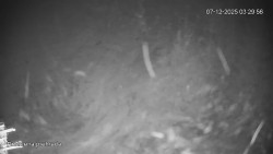 Protržená přehrada