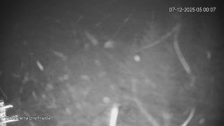 Protržená přehrada