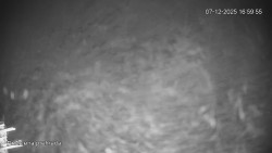 Protržená přehrada