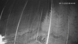 Protržená přehrada