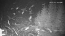 Protržená přehrada