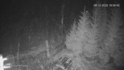 Protržená přehrada