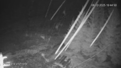 Protržená přehrada