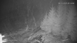 Protržená přehrada