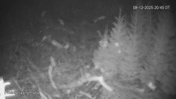 Protržená přehrada