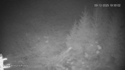 Protržená přehrada