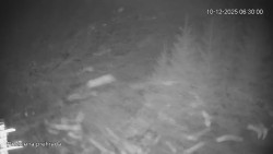 Protržená přehrada