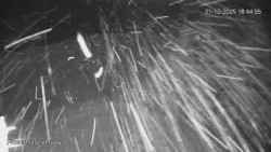 Protržená přehrada