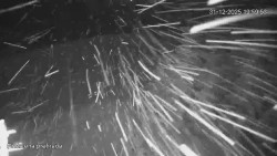 Protržená přehrada