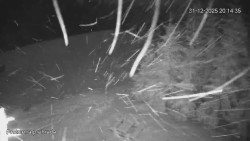 Protržená přehrada