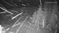 Protržená přehrada