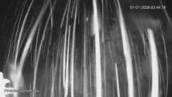 Protržená přehrada