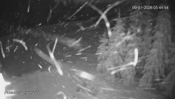 Protržená přehrada