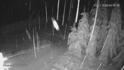 Protržená přehrada