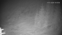 Protržená přehrada