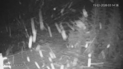 Protržená přehrada