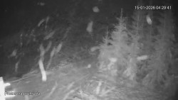 Protržená přehrada