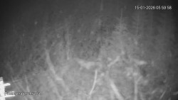 Protržená přehrada