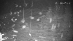 Protržená přehrada