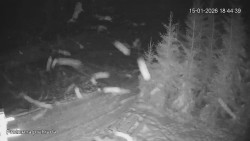 Protržená přehrada