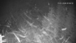 Protržená přehrada