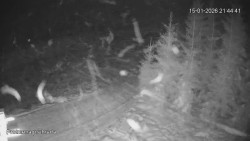 Protržená přehrada