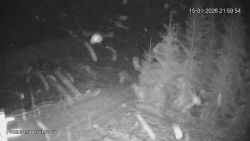 Protržená přehrada