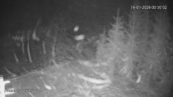 Protržená přehrada