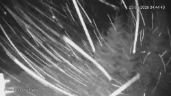 Protržená přehrada