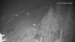 Protržená přehrada