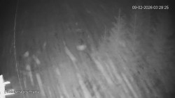 Protržená přehrada