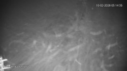 Protržená přehrada