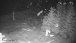 Protržená přehrada