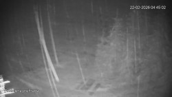 Protržená přehrada