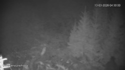 Protržená přehrada