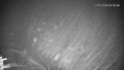 Protržená přehrada