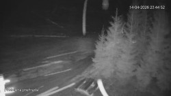 Protržená přehrada