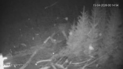 Protržená přehrada