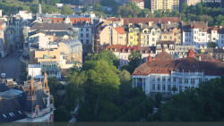 Panorama