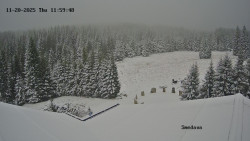 Směďava, Černý vrch