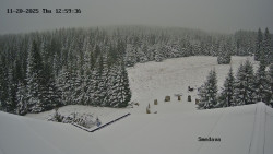 Směďava, Černý vrch