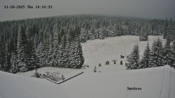 Směďava, Černý vrch