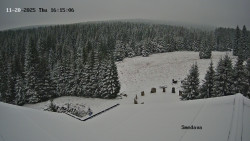 Směďava, Černý vrch