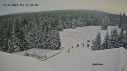 Směďava, Černý vrch