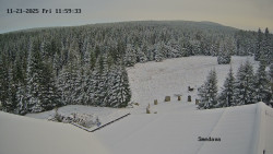 Směďava, Černý vrch