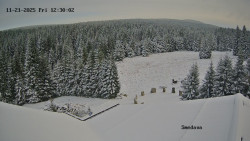 Směďava, Černý vrch