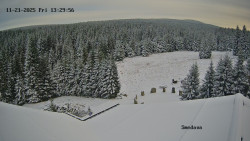 Směďava, Černý vrch