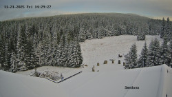 Směďava, Černý vrch